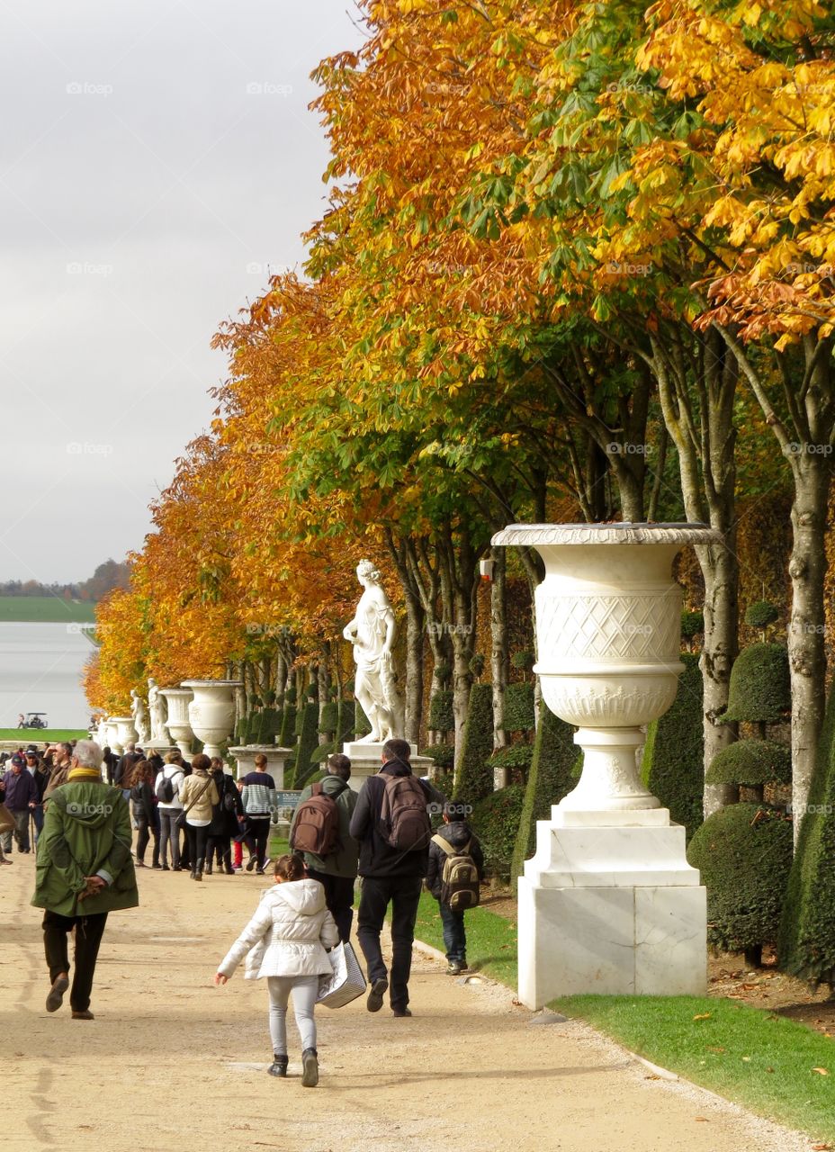 Strolling in Versailles