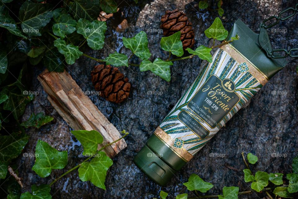 Tesori d’Oriente shower cream, pine cone, ivy leaves and rocks 