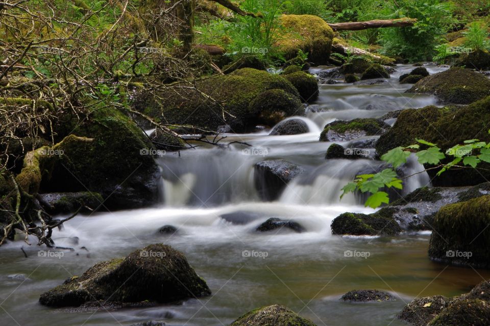 Water, Waterfall, Stream, River, No Person