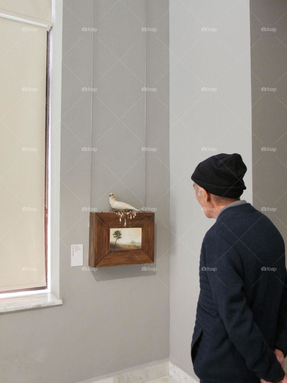 Grandpa is looking at art