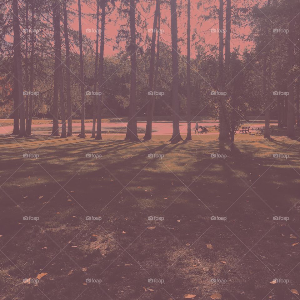 Bensons family park / NH 