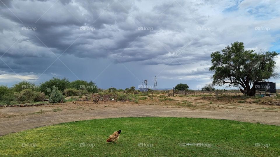 Rain coming to the karoo. Farm.