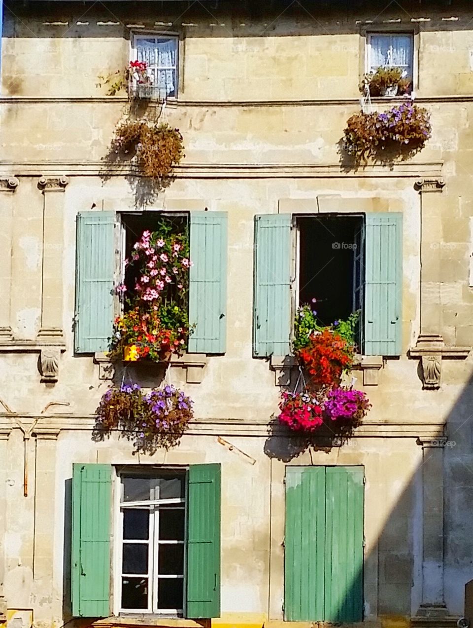 Colorful windows and flowers. I took this photo in Arles, France. People were showing beautiful flowers on their old windows.