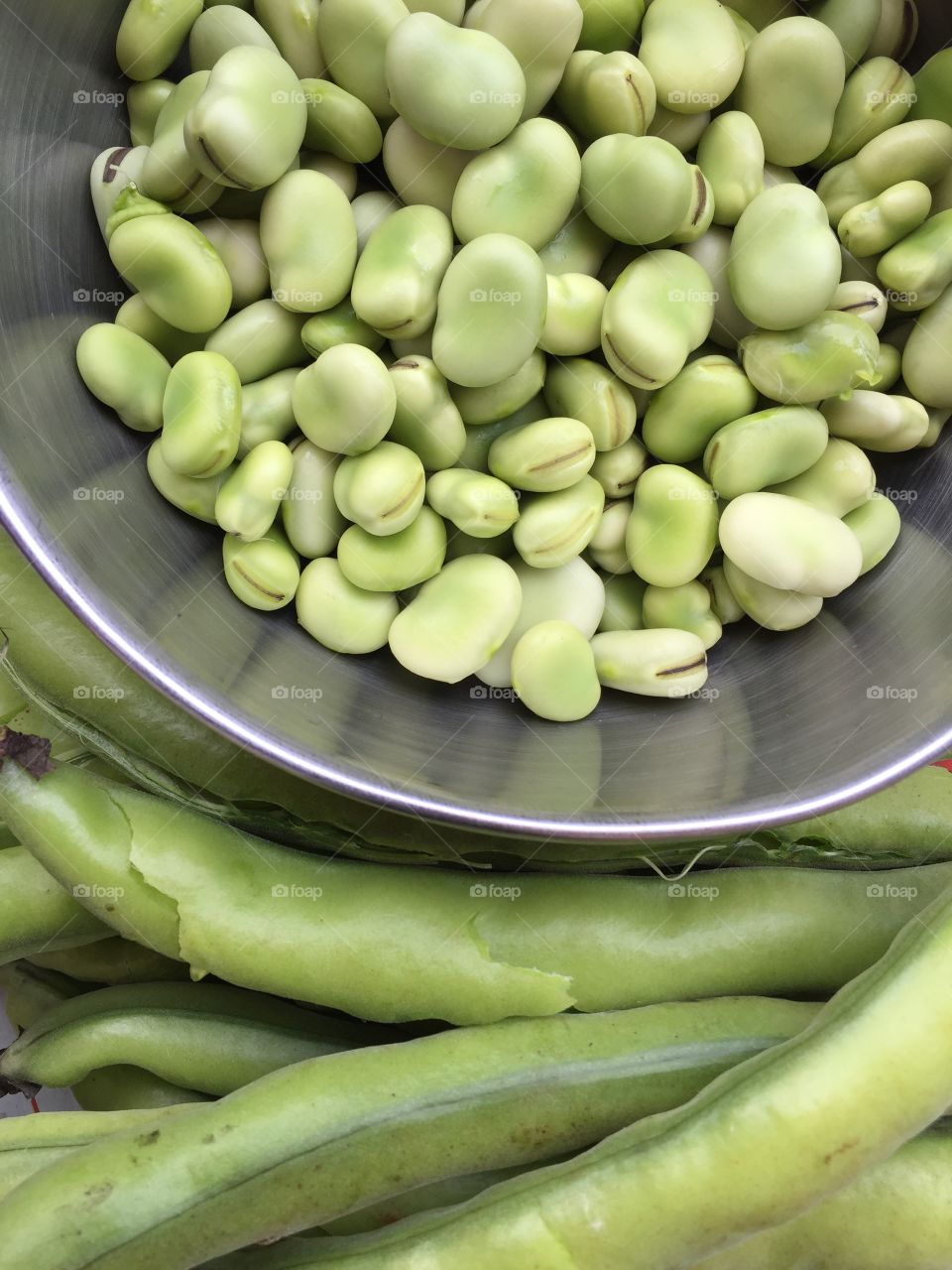 High angle view of beans