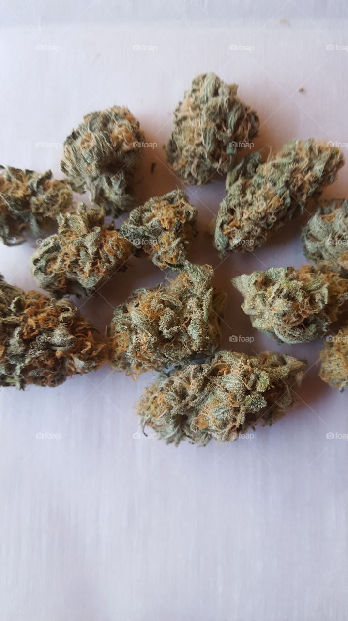 marijuana - Skunk Northern Lights strain