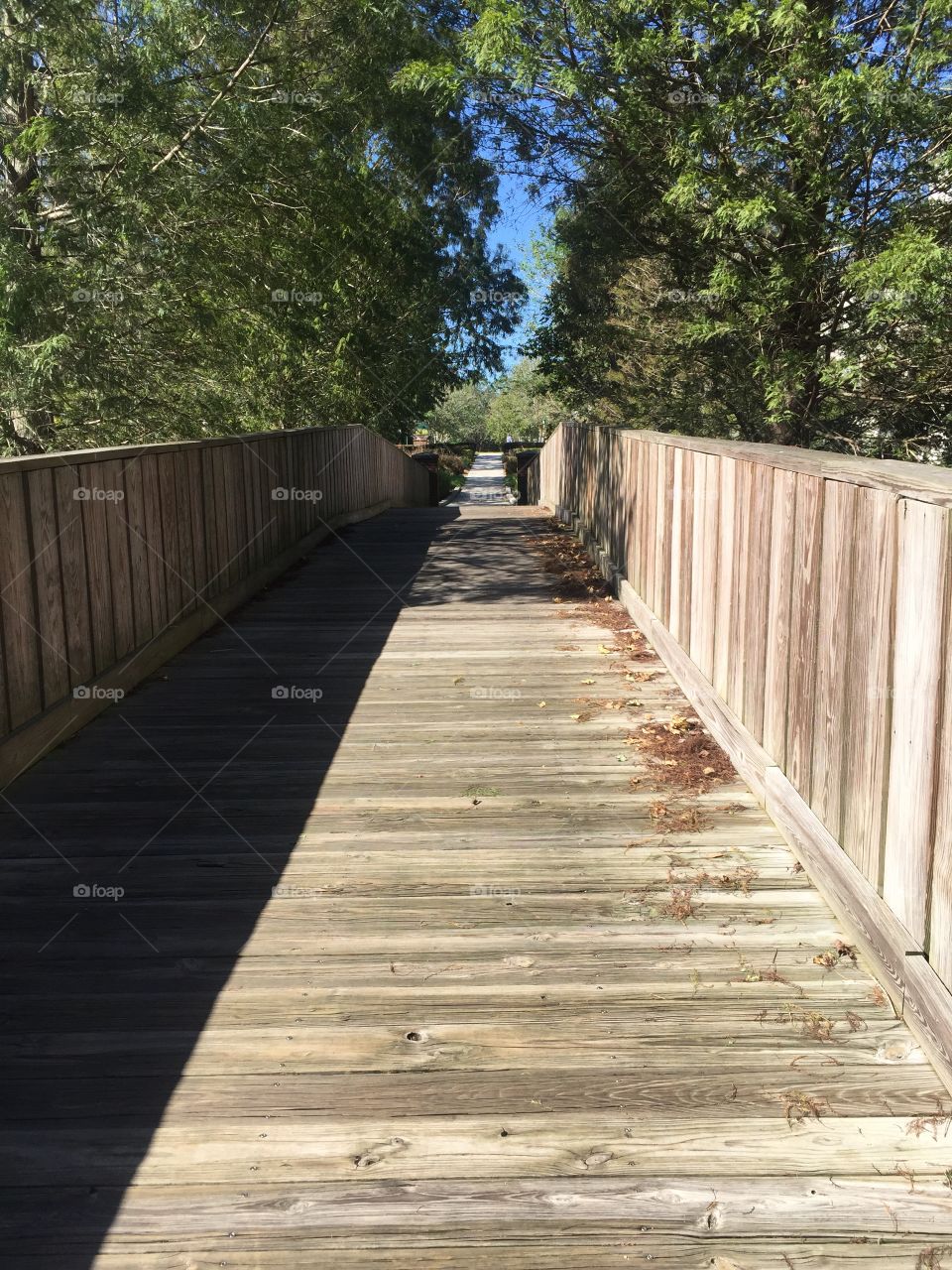 Celebration Florida boardwalk