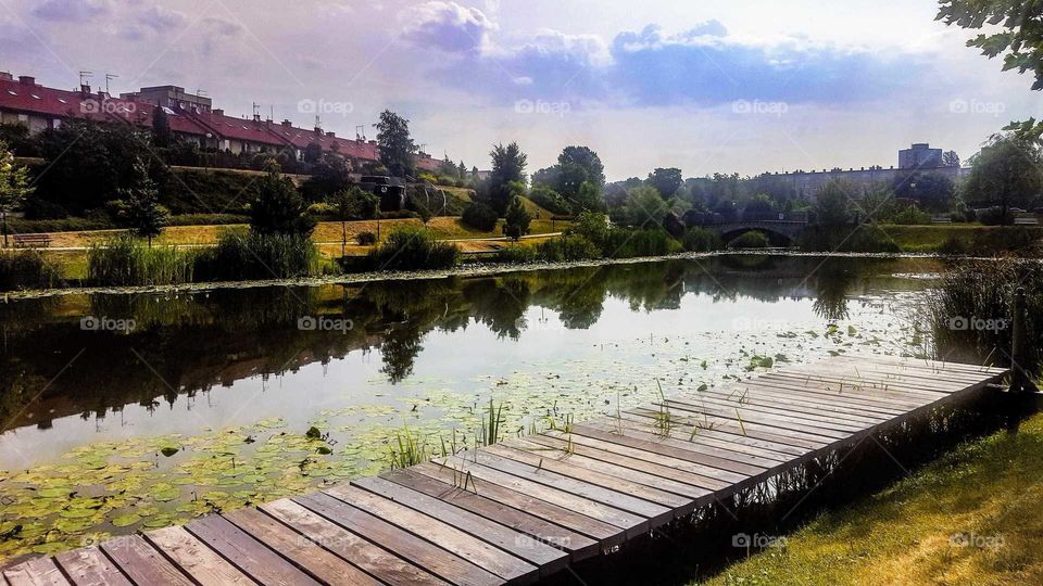 Fishing pier on the pond