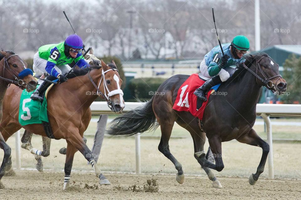 Happy Music by Fleetphoto winning the opener on New Year's Day