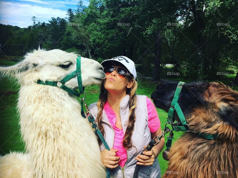 Kiss llama on vacation golf trip
