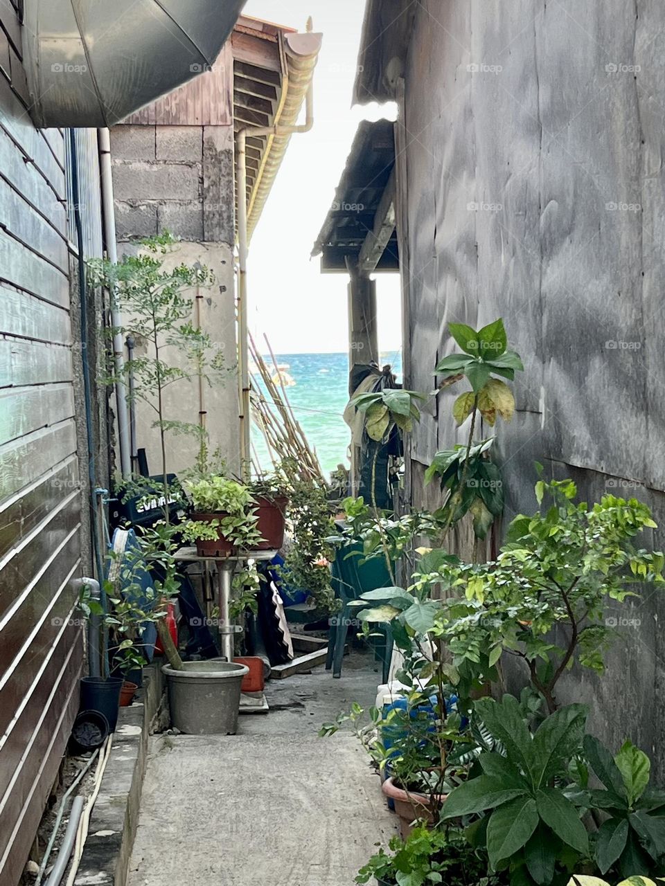 View of a small flowery alley in the Caribbean