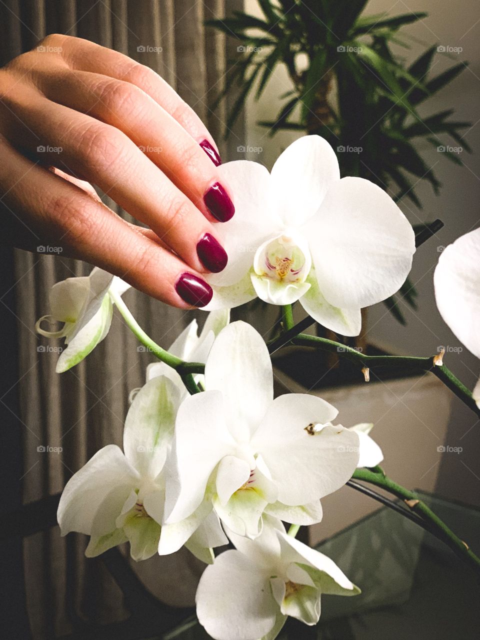 Perfect manicure and flowers touch