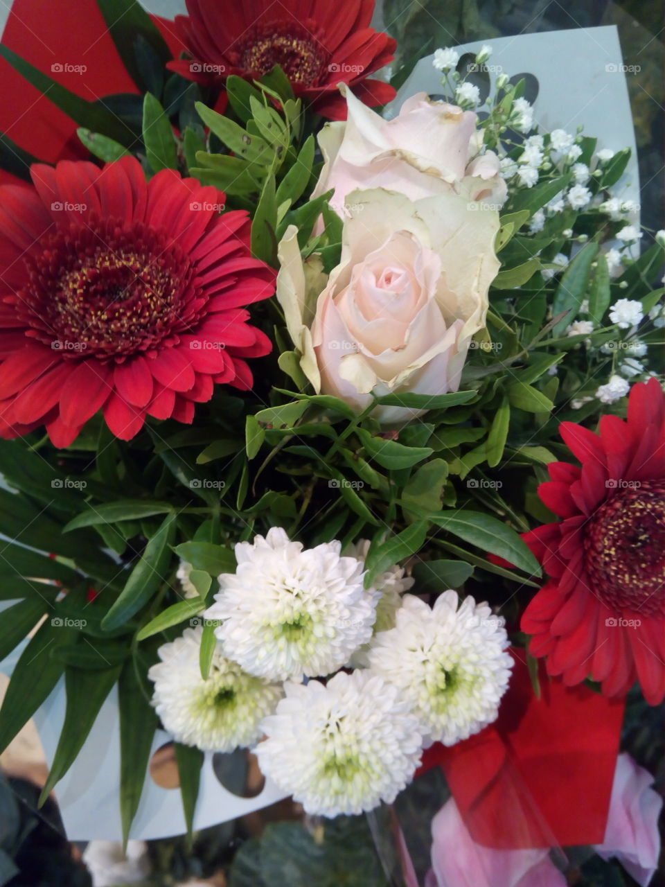 Flowers of the black forest