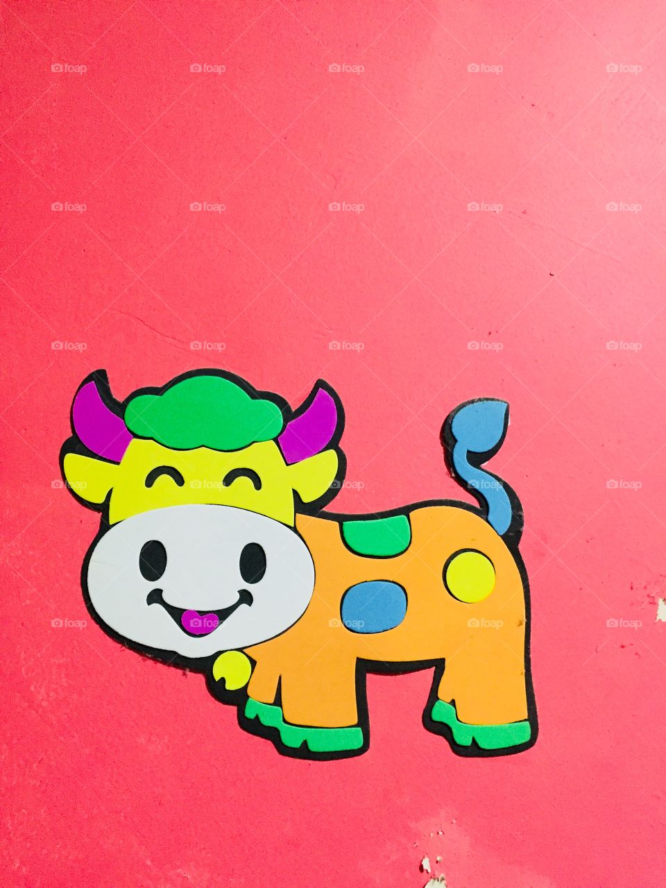 Cow wall photos for kids (cartoons )