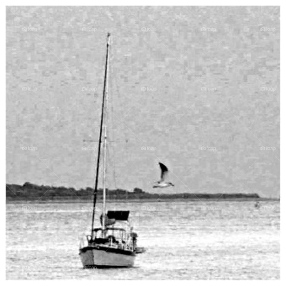 Fishing Boat with Gull