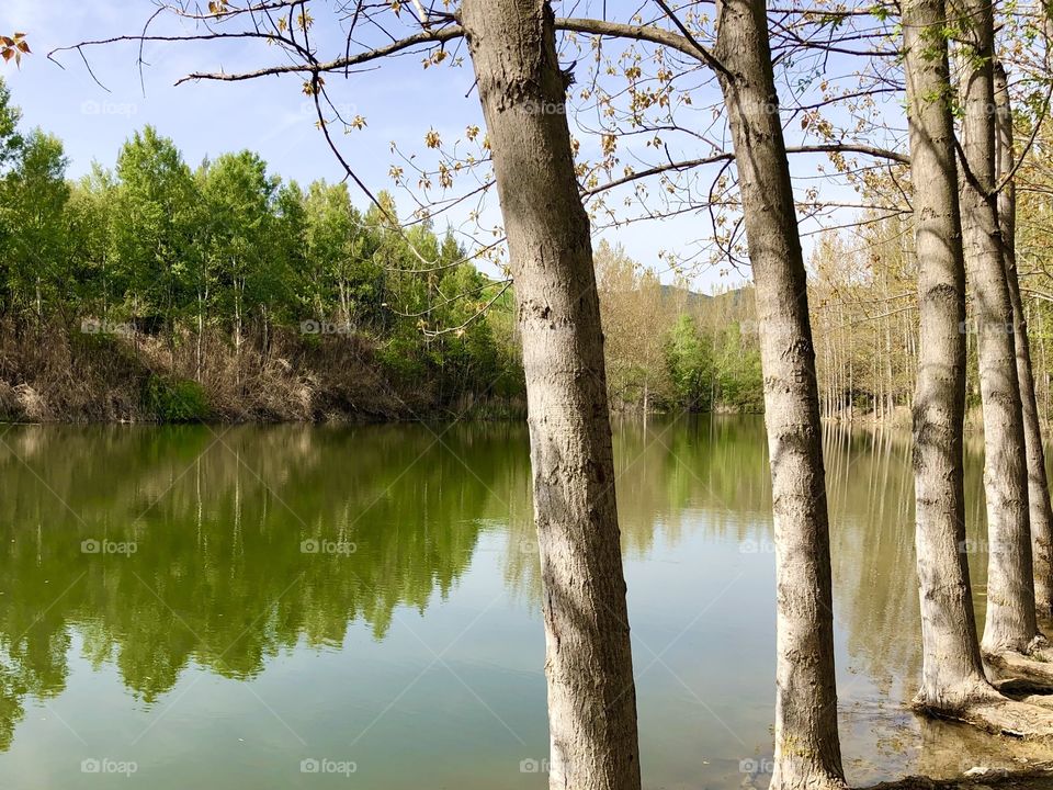 Lake forest oraiokastro