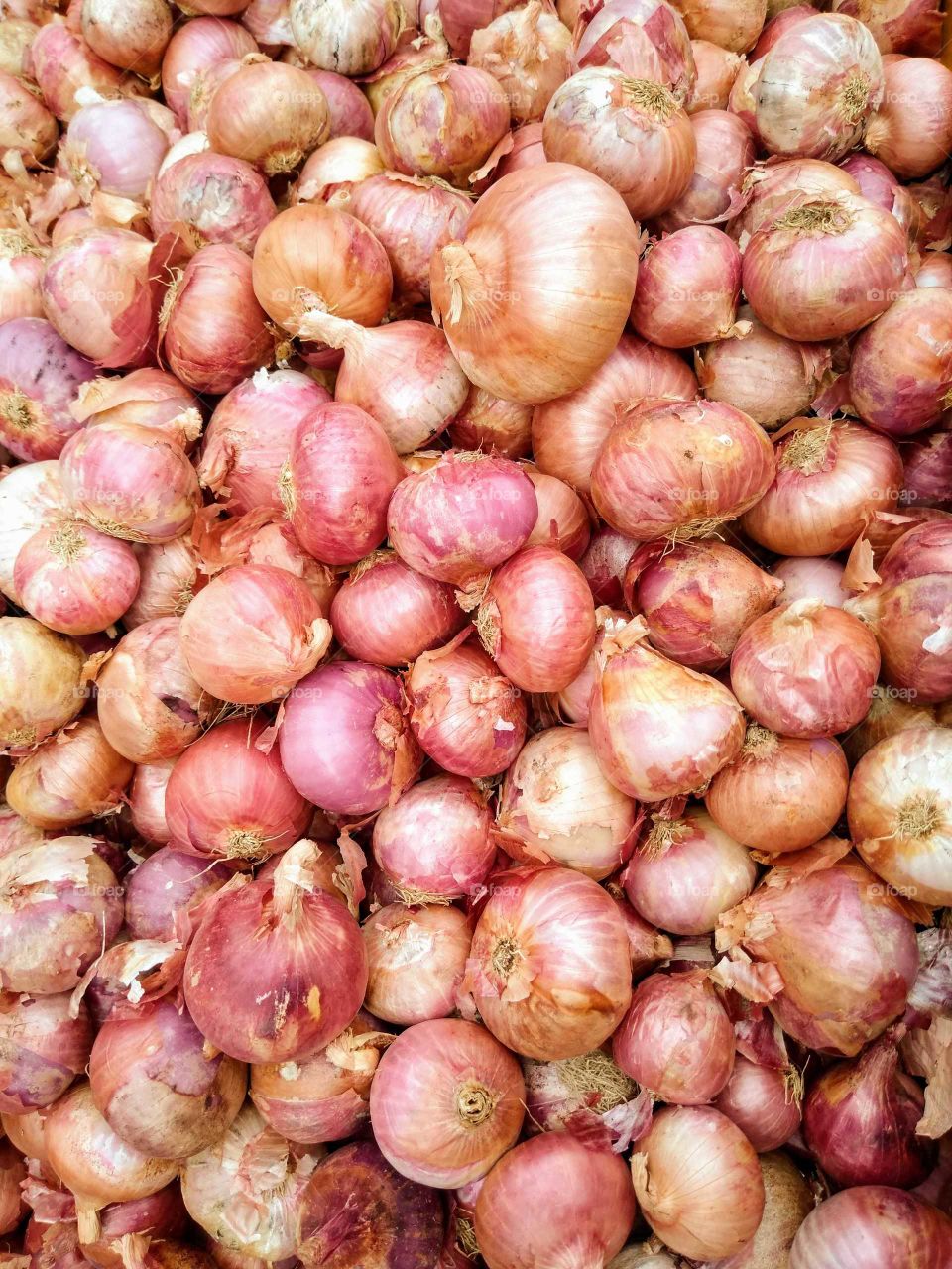 onions
