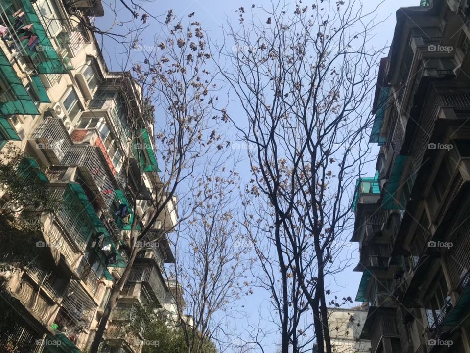 In the warm spring, flowers are coming out with a rush