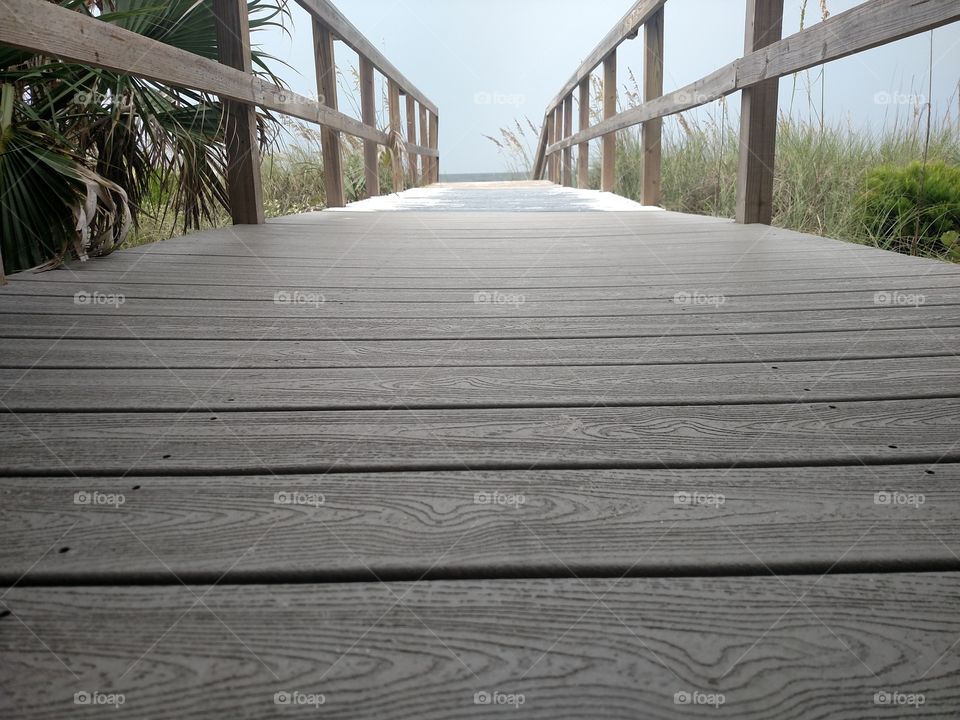 Pathway to the beach.