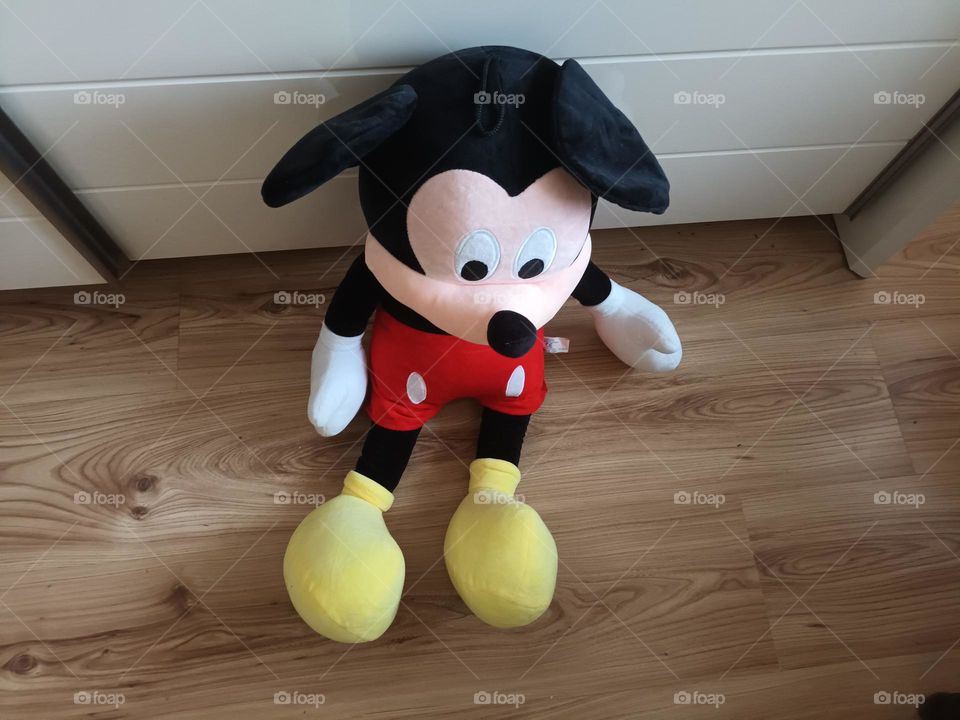 Mackey mouse