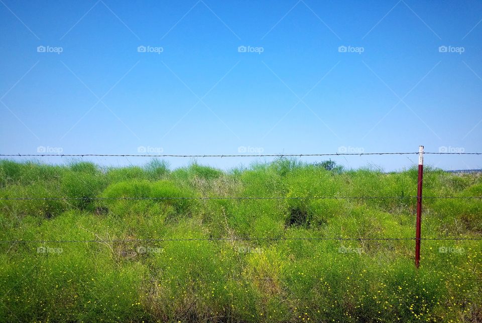 Wide Open Prairie