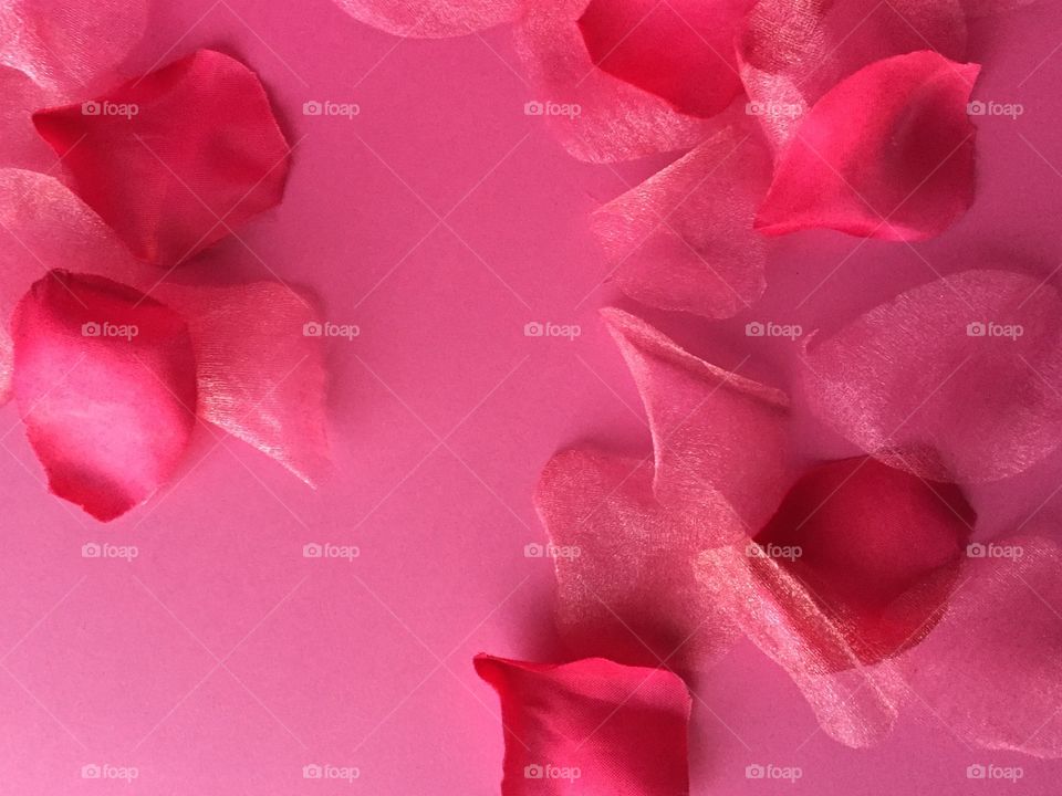 Rose Petals