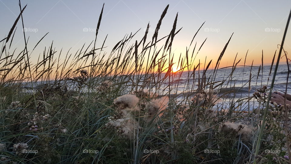 Whidbey Island , West Beach Road, PNW ocean