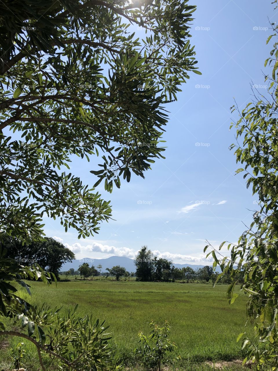 Holiday with my family, Countryside ( Thailand 🇹🇭