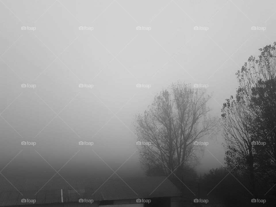 Morning fog in Bucharest.