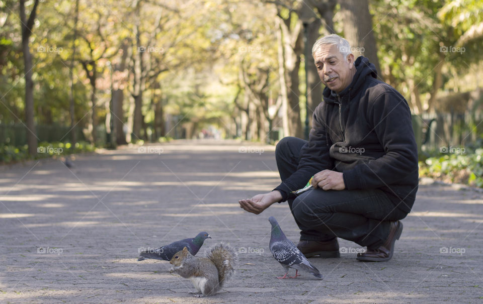 Old man feeding animals in the park