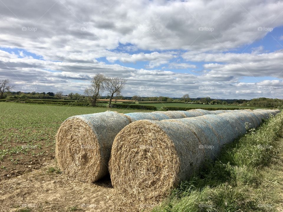 Hay bales running along the edge of a field to feed animals ... pretty low lying clouds against a blue sky 