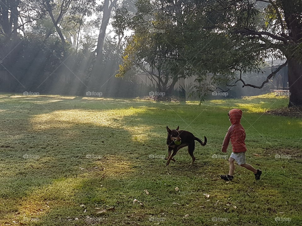 playtime on a smoky afternoon