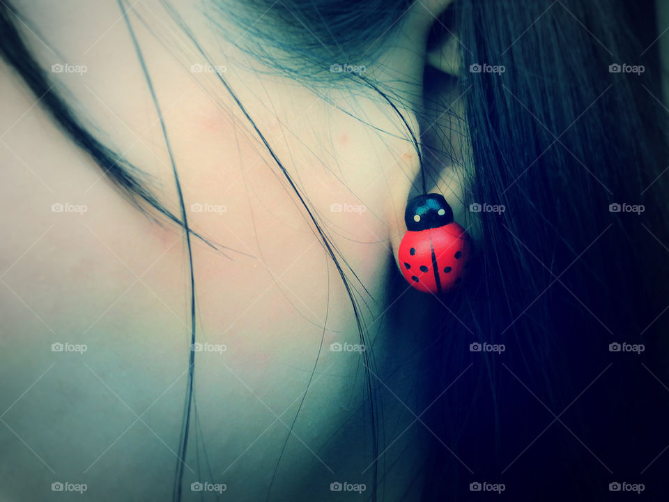 Red ladybird
