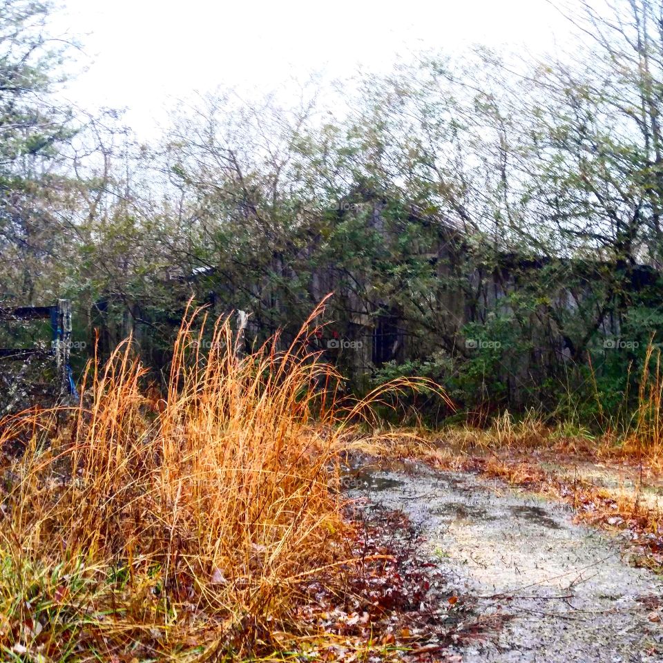 abandoned barn