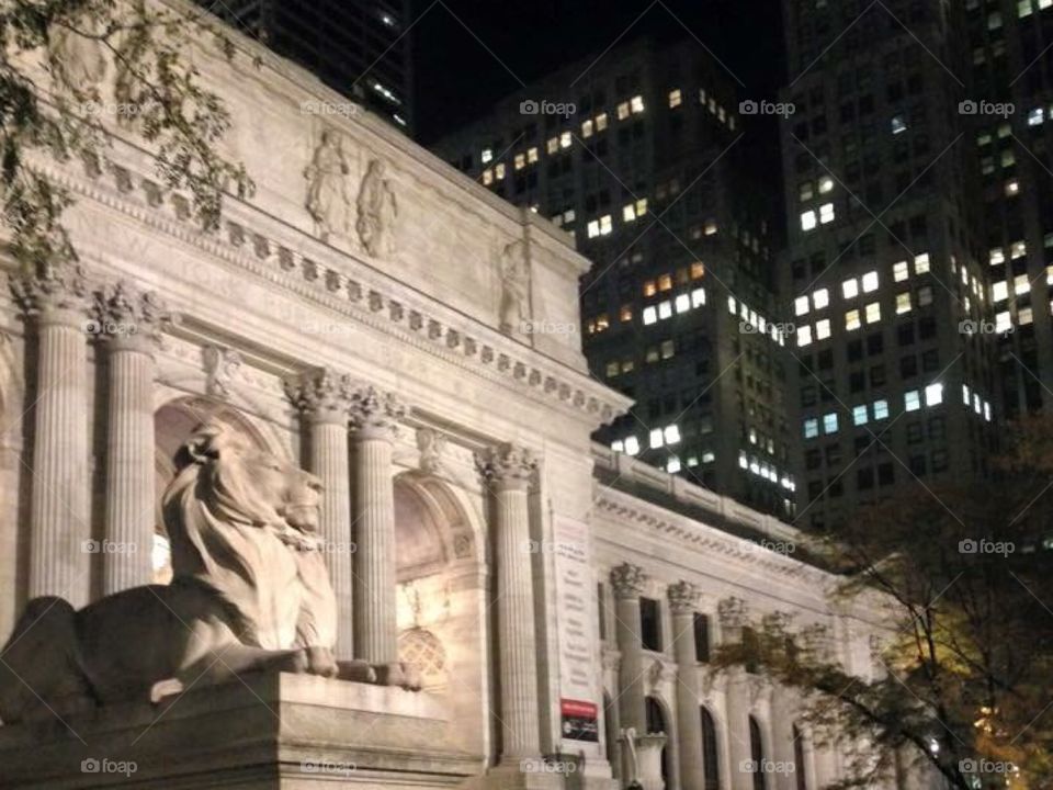 New York Public Library, Midtown Manhattan. New York, New York
Beautiful stone architecture and stone lion, surrounded by skyscraper buildings. 