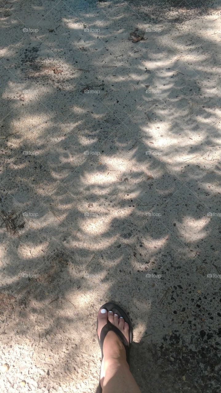 eclipse shadows 2017 NJ