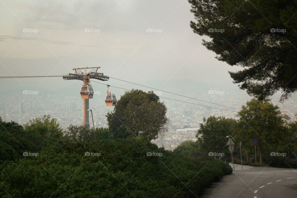Tree, Landscape, Sky, No Person, Travel