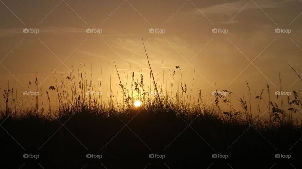 Sunrise through the dunes