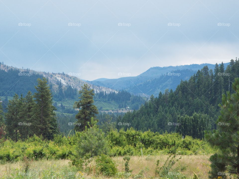 Central Washington State