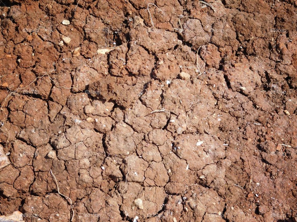 dry earth