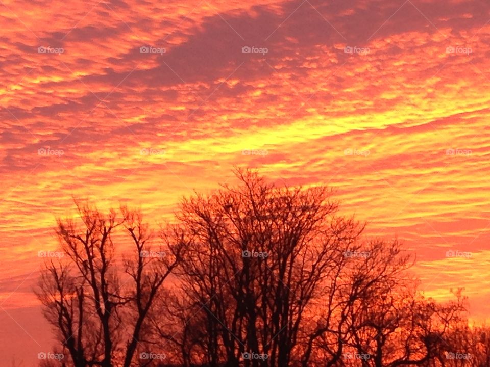 Beautiful sunrise over the countryside