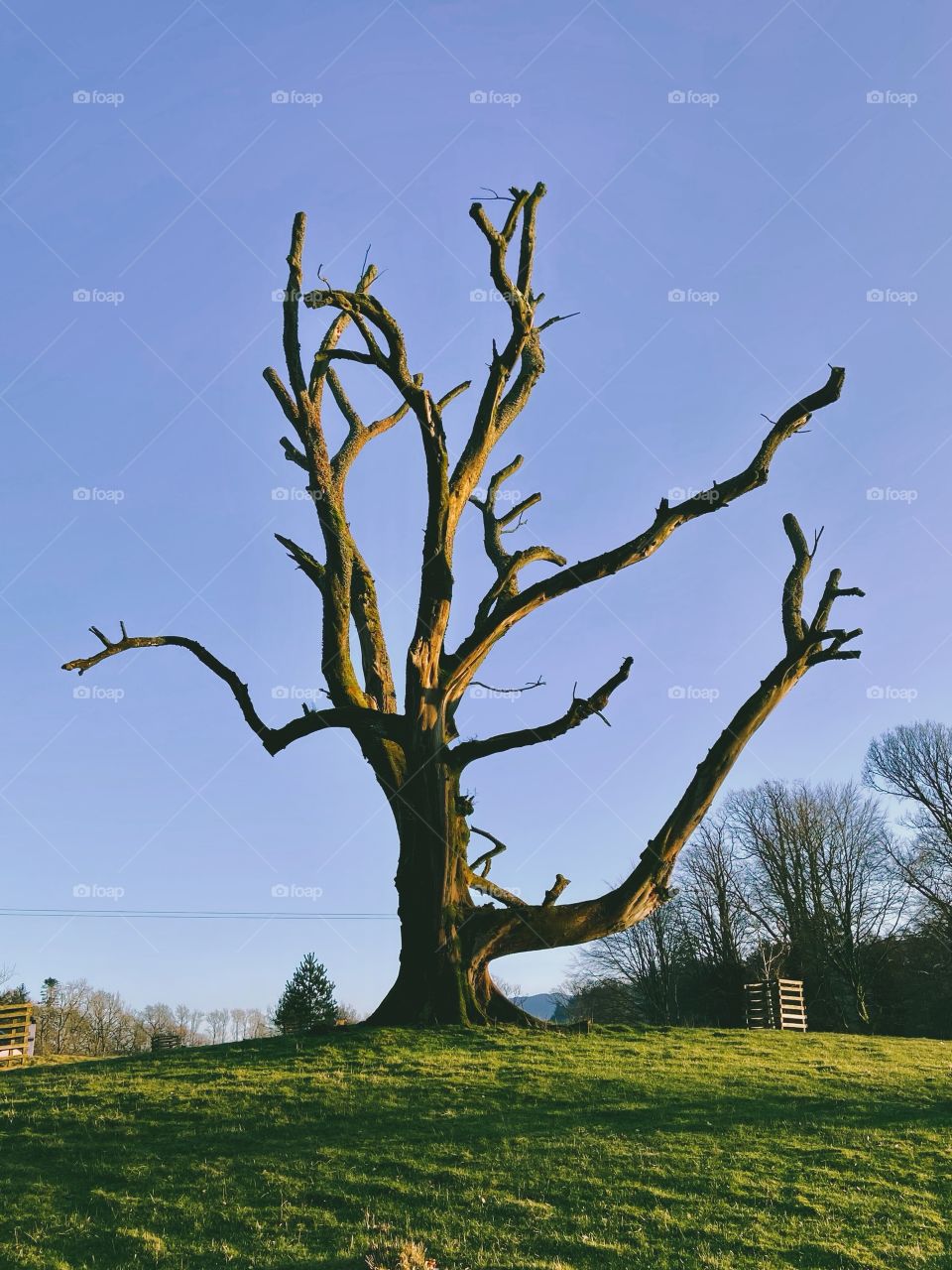 Which Direction? 🤷🏻‍♀️