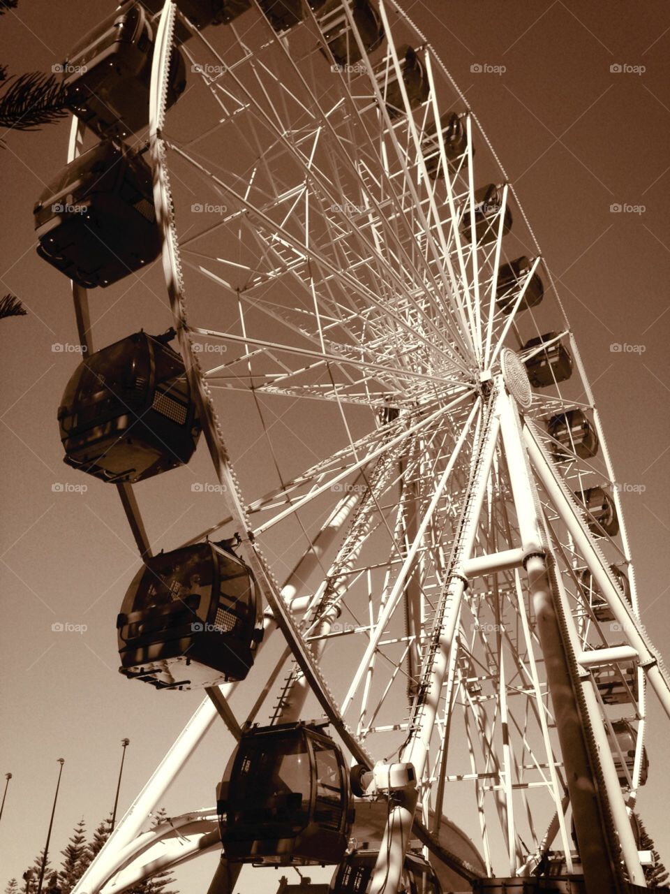 Ferris Wheel . Eye of Perth