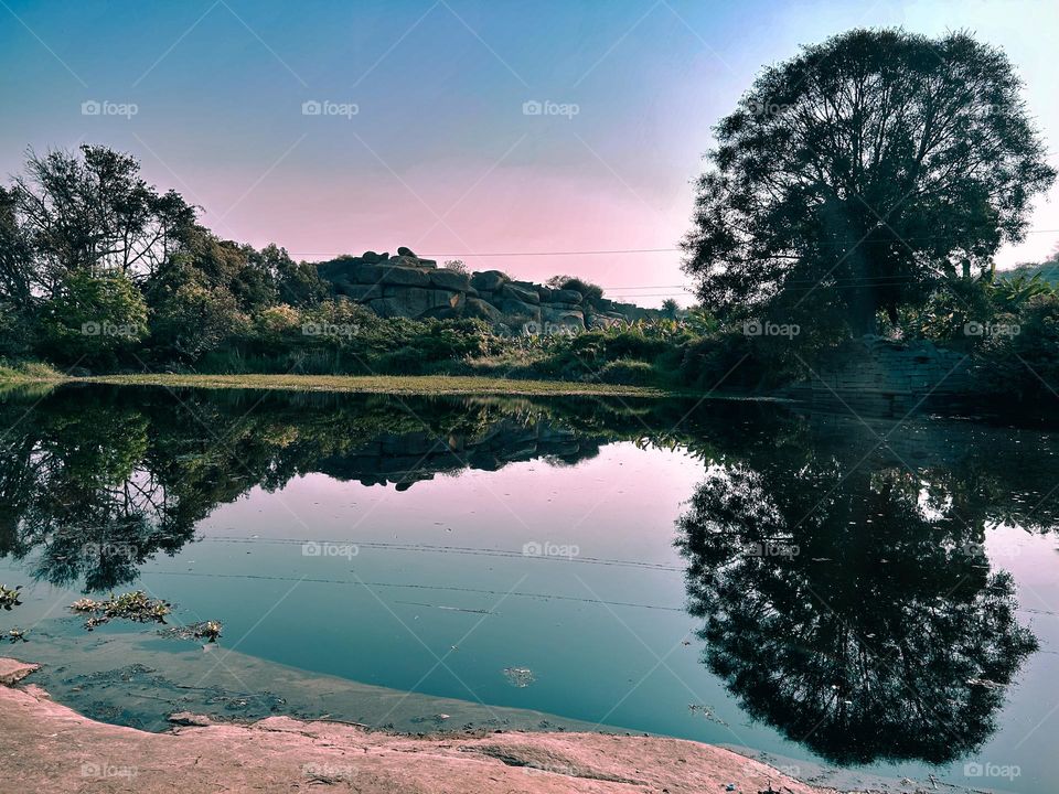 Natural pond in a urban environment 