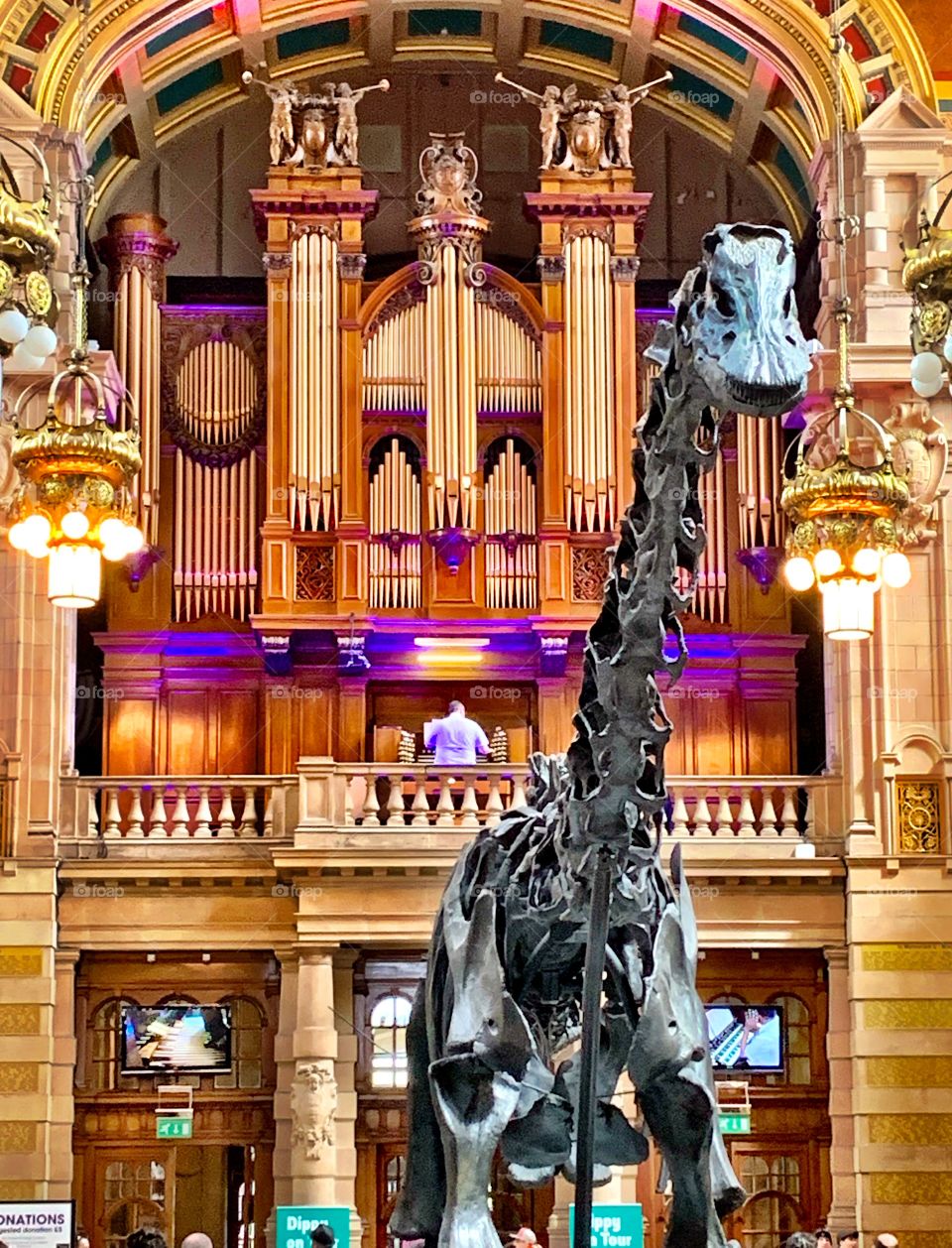 Diplodocus (“Dippy”) on display at Kelvingrove Art Gallery and Museum, Glasgow. Scotland.