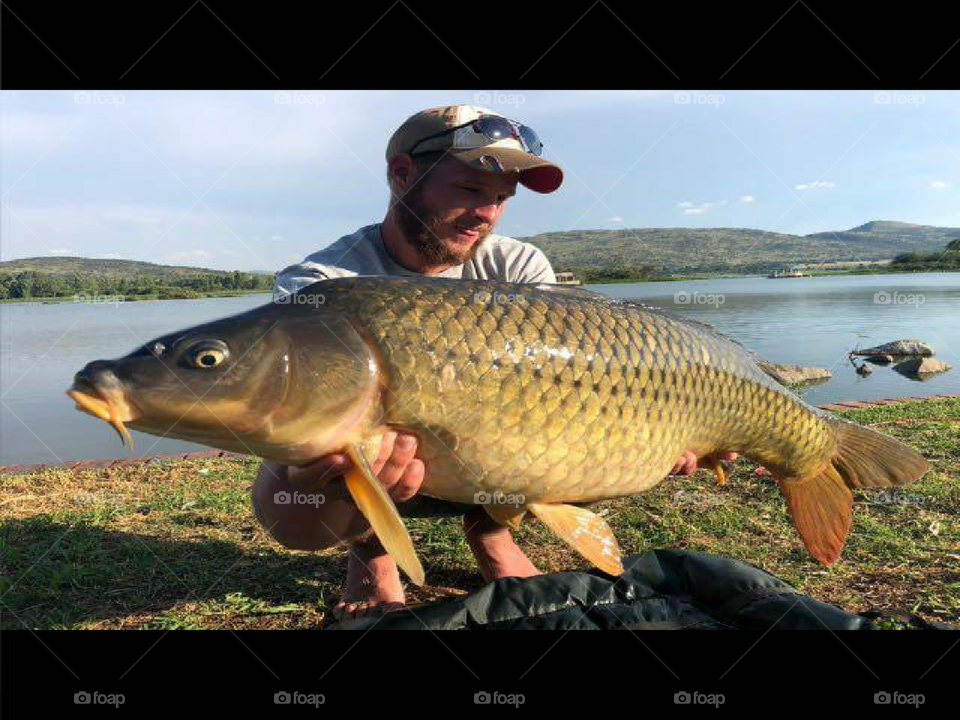 Giant Carp