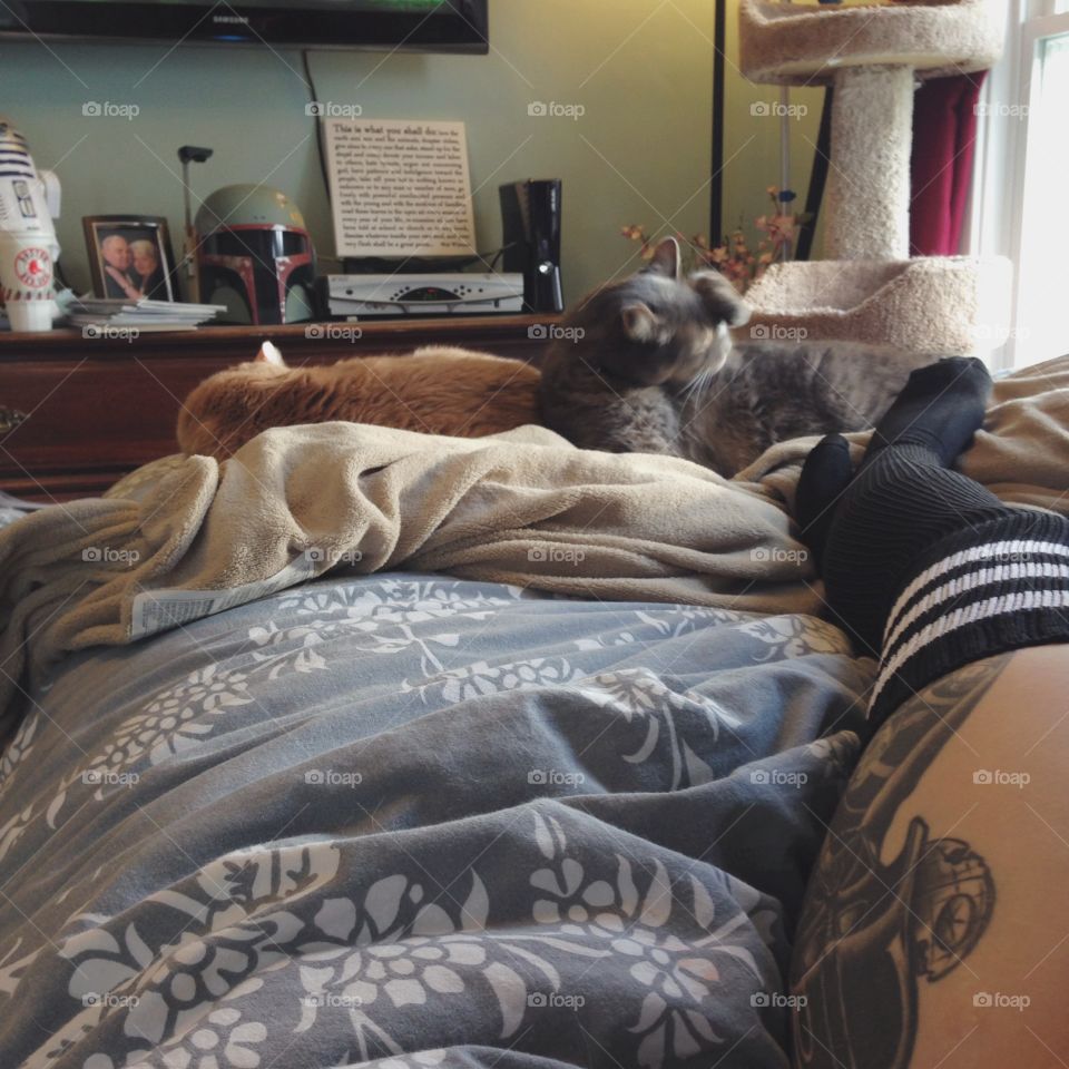 A lazy day with the boys. 