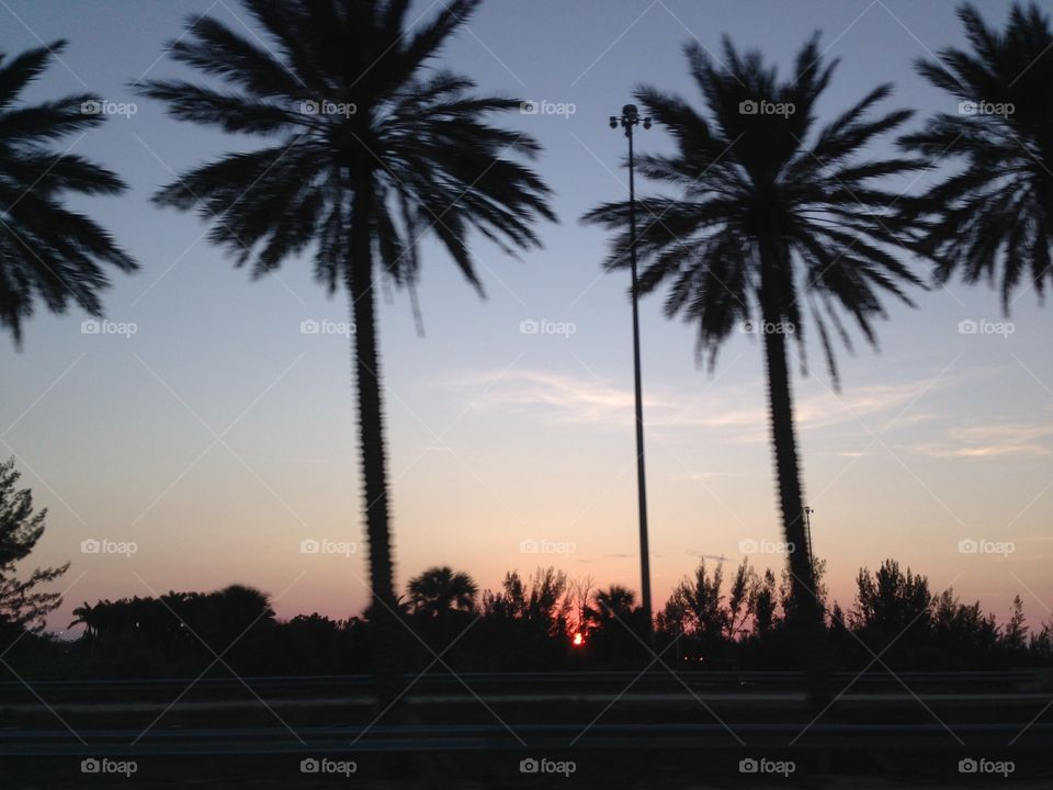 Sunset with two palm trees 