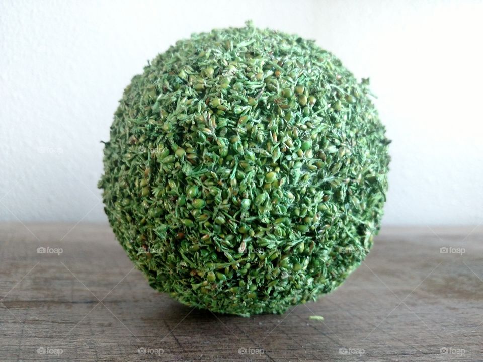 Plant-ball on wood.