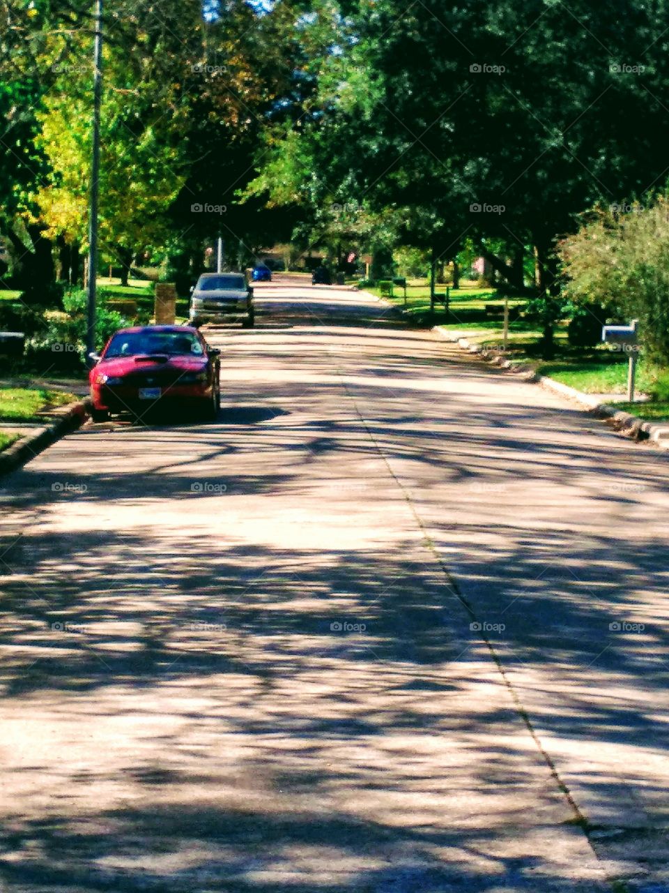 Peaceful tree lined street.  A quiet place in the suburbs to call home.