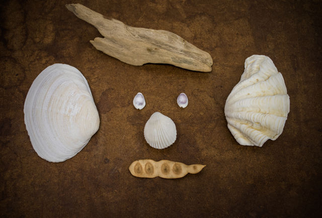 Funny shellfishes face
